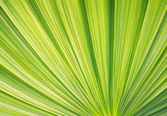 Abstract Green Palm Leaf Texture with Lines