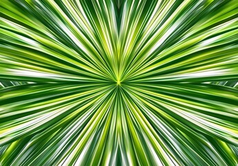 Obraz premium Abstract Palm Leaf Texture, Green Stripes, Sunlight