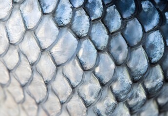 Close-up of Salmon Skin Texture with Delicate Scales