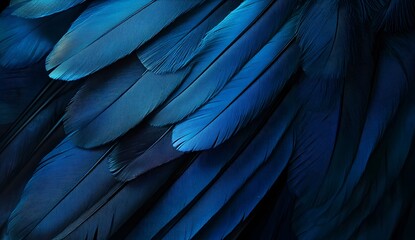 Close Up Blue Bird Feathers Texture