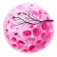 Pink full moon, tree branch and spider on web. Watercolor hand drawn cut out isolated illustration. Round planet. Magical night satellite drawing for Halloween, astrology. Symbol of cyclic renewal
