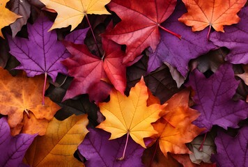 Fototapeta premium Colorful Autumn Leaves Pattern Background