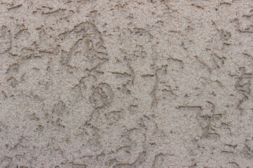 Texture d'un mur granuleux, crépi