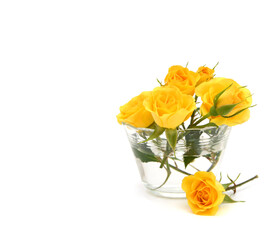 Yellow roses bunch isolated on white background.