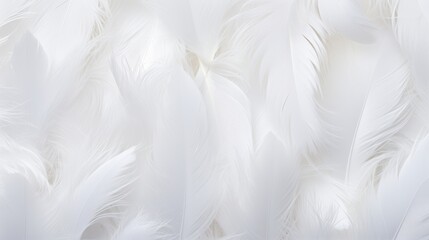 Fototapeta premium Closeup of white feathers creating a serene background for spirituality, hope, and faith in god