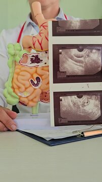 Doctor examines digestive system model and ultrasound image concept