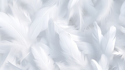 Obraz premium Serene closeup of white feathers symbolizing peace, spirituality, and hope for divine faith