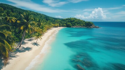 Obraz premium Tropical Paradise Beach with Crystal Clear Turquoise Water, White Sand, and Lush Green Palm Trees under a Bright Blue Sky on a Sunny Day