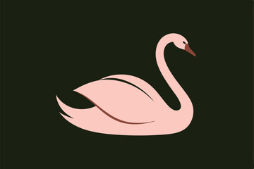 black swan vector