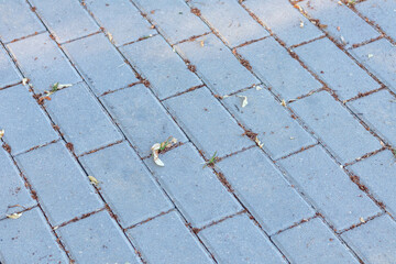 Gray classic pavers.