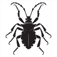 Pyrrhocoris apterus silhouette on white background
