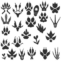 Fototapeta premium Big monochrome set of different animals footprint.