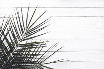 Fototapeta premium Palm branches on white wooden painted board, top view, copy space. Tropical background