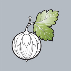 A gooseberr vector art illustration