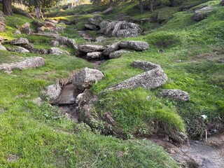 A small waterfall in the forest. Bright juicy greens and splashes of water. A quiet and peaceful place for family holidays