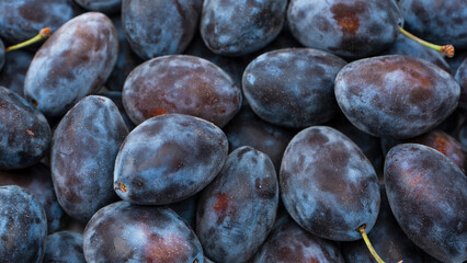 Fresh plums background. Top view. Organic food.