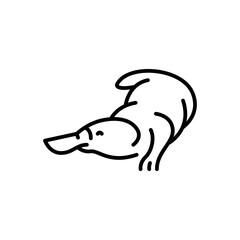 Australian platypus black line illustration. Animals of Australia.