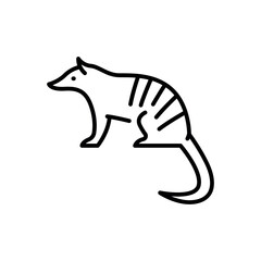 Marsupial anteater black line illustration. Animals of Australia.