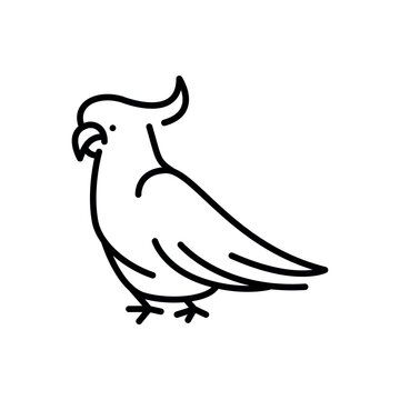 recommend clip art: Australian parrot black line illustration. Animals of Australia.