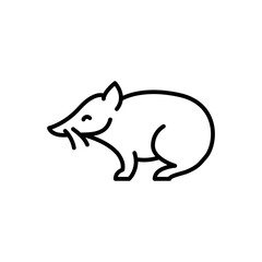 Proboscis couscous black line illustration. Animals of Australia.