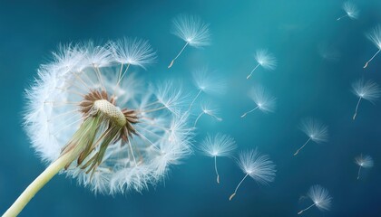 Dandelion seeds blowing in the wind against a blue sky.