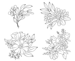 Fall botanical flower line drawing vector illustration set, hand drawn autumn flower bouquets