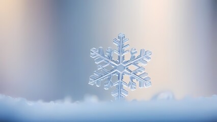 Winter background with snowflakes