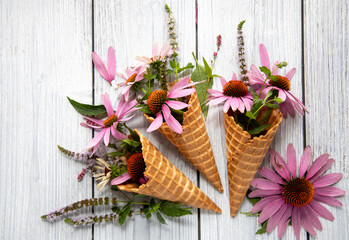 cone flower, spring; summer; nature; bloom; view; beautiful; waffle; natural; celebration; flower; bouquet; design; top; cone; concept; space; idea; closeup; sunny; horizontal; background; dessert; 