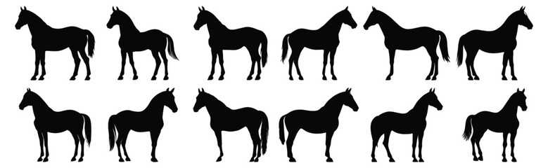 Horse silhouettes set, animal pack of vector silhouette design, isolated background.