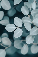 Monochromatic leaves close-up showing intricate details and texture, creating a minimalist and calm atmosphere.