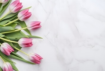 Pink Tulips on White Marble Background for Text