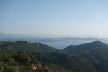 Naklejka premium GR51