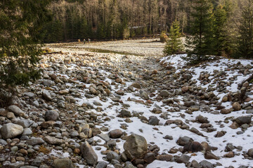 A serene winter landscape featuring a rocky riverbed and patches of snow, framed by lush green trees. Ideal for nature and outdoor themes.