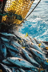 Assessing the impact of overfishing on marine ecosystems