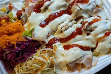 Delicious, colorful plate of shredded chicken topped with creamy sauce and ketchup, surrounded by fresh salads of carrots, cabbage, and lettuce, ideal for food lovers.