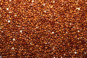 red quinoa close up