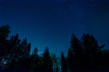 The night starry sky in the forest.Fascinating astronomy.Observation of constellations at night.