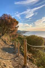 Sunrise over Malaga port and sea coast in a sunny day in the morning in Malaga, Spain