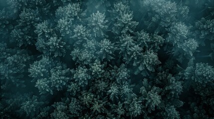 Obraz premium Forest landscape pattern background top view generated by ai