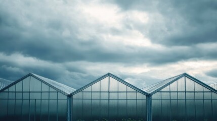 Obraz premium Greenhouses beneath a cloudy sky