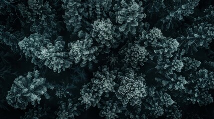 Forest landscape pattern background top view generated by ai