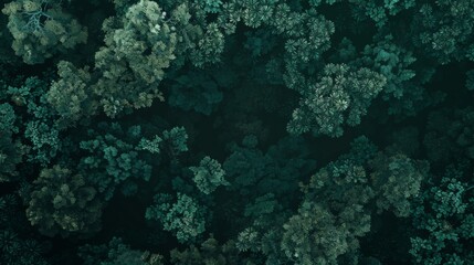 Fototapeta premium Forest landscape pattern background top view generated by ai