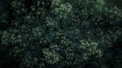 Fototapeta premium Forest landscape pattern background top view generated by ai