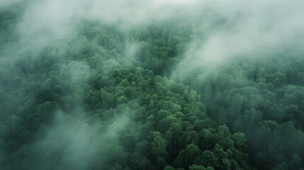 Foggy forest landscape pattern background top view generated by ai