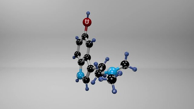 Bufotenin molecule. Molecular structure of Bufotenine, psychoactive alkaloid found in a variety of organisms, including certain toads, mushrooms, and plants.