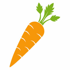 carrot isolated on white