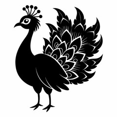 Obraz premium rooster isolated on white background