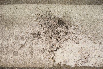 The texture of the road surface. Asphalt, marking of a pedestrian crossing