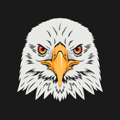 white eagle head design illustration, Bird falcon logo design, eagle or hawk badge emblem vector icon