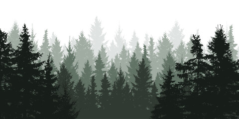 Forest background, nature, landscape. Evergreen coniferous trees, silhouette. Vector illustration